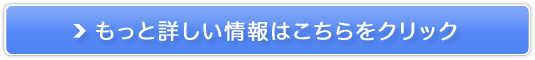 sNX^|fW^fޔ̔TCg
